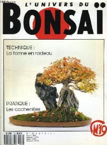L'univers du bonsaï n°10 La forme en radeau. Les cochenilles