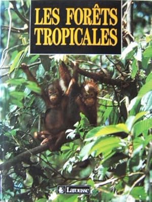 Les forets tropicales : comment les sauver?