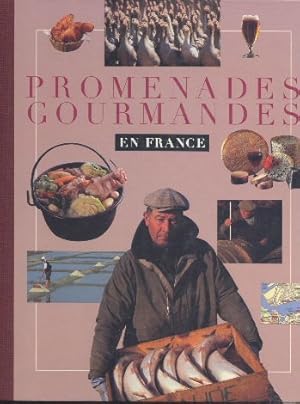 Bild des Verkufers fr Promenades gourmandes en France zum Verkauf von Librairie L'Amour du Livre