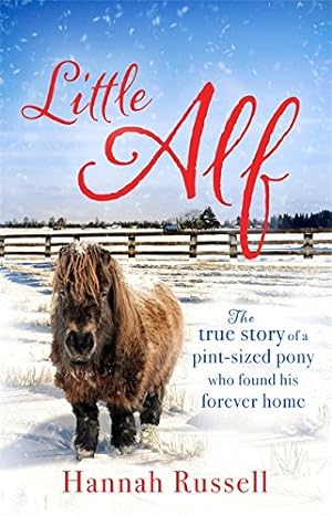 Imagen del vendedor de Little Alf: The true story of a pint-sized pony who found his forever home a la venta por WeBuyBooks