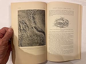 FOSSIL SNAKES OF NORTH AMERICA
