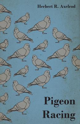 Imagen del vendedor de Pigeon Racing (Paperback or Softback) a la venta por BargainBookStores