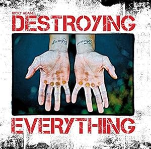 Immagine del venditore per Destroying Everything: Seems Like the Only Option venduto da WeBuyBooks