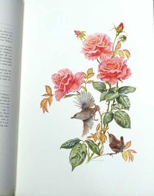 Bild des Verkufers fr Birds and Flowers of the Castle of Mey. Signed limited edition zum Verkauf von Barter Books Ltd