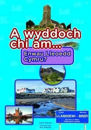 Bild des Verkufers fr Cyfres a Wyddoch Chi: A Wyddoch Chi am Enwau Lleoedd Cymru? zum Verkauf von WeBuyBooks