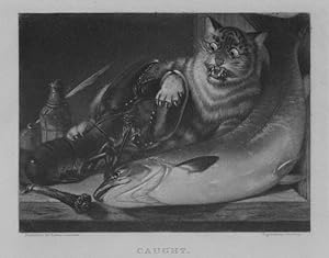 Cat caught by lobster,1860s Steel Engraving