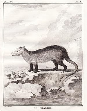 Bild des Verkufers fr Le Crabier" - Krabbenfresser /Raubtier predator / Tiere animals animaux zum Verkauf von Antiquariat Steffen Vlkel GmbH