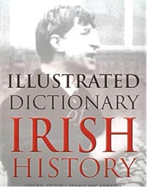 Immagine del venditore per An Illustrated Dictionary of Irish History venduto da WeBuyBooks