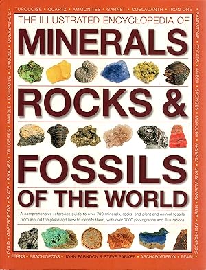 The Illustrated Encyclopedia of Minerals Rocks & Fossils of the World