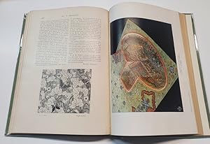 Art et décoration - Revue mensuelle d'art moderne - 1er semestre 1903