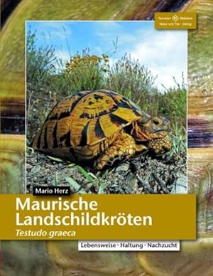 Seller image for Maurische Landschildkrten : [Testudo graeca ; Lebensweise, Haltung, Nachzucht] / Mario Herz Testudo graeca for sale by Antiquariat Mander Quell