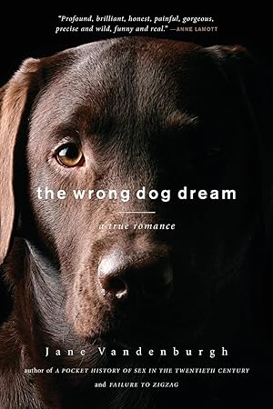 Bild des Verkufers fr The Wrong Dog Dream zum Verkauf von moluna