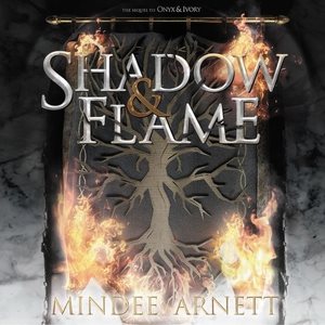 Seller image for Shadow & Flame for sale by GreatBookPrices