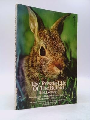 Seller image for The Private Life of the Rabbit for sale by ThriftBooksVintage