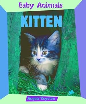 Immagine del venditore per Kitten (Baby Animals) venduto da WeBuyBooks