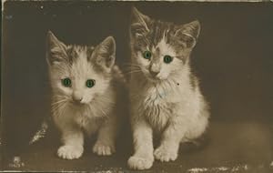 Bild des Verkufers fr Ansichtskarte / Postkarte Zwei kleine Katzen, Grne Augen - RPH 106/3 zum Verkauf von akpool GmbH