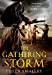 Seller image for The Gathering Storm [Soft Cover ] for sale by booksXpress