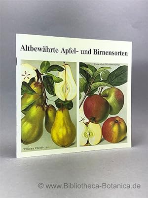 Bild des Verkufers fr Altbewhrte Apfel- und Birnensorten. zum Verkauf von Bibliotheca Botanica