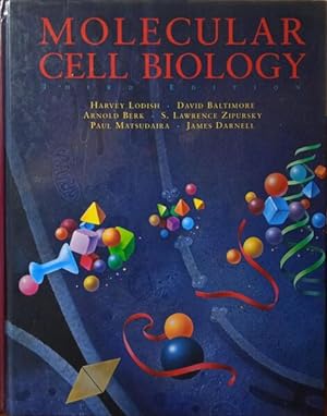 MOLECULAR CELL BIOLOGY.