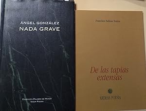 NADA GRAVE + DE LAS TAPIAS EXTENSAS (2 libros)