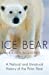 Seller image for Ice Bear: A Natural and Unnatural History of the Polar Bear [Soft Cover ] for sale by booksXpress