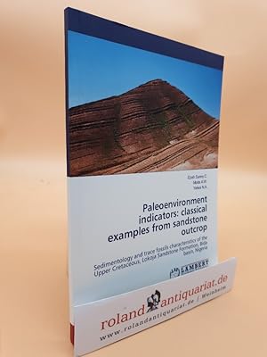 Paleoenvironment indicators: classical examples from sandstone outcrop: Sedimentology and trace f...