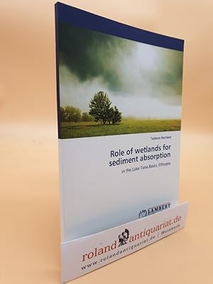 Role of wetlands for sediment absorption: in the Lake Tana Basin, Ethiopia
