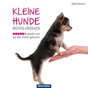 Kleine Hunde richtig erziehen. Kompakt und auf den Punkt gebracht.