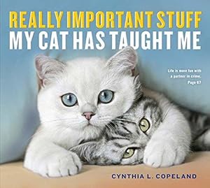 Imagen del vendedor de Really Important Stuff My Cat Has Taught Me a la venta por WeBuyBooks