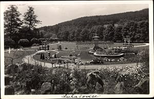 Bild des Verkufers fr Ansichtskarte / Postkarte Bad Luhatschowitz Region Zlin, Japanischer Garten zum Verkauf von akpool GmbH