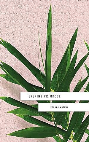 Seller image for Evening Primrose for sale by WeBuyBooks