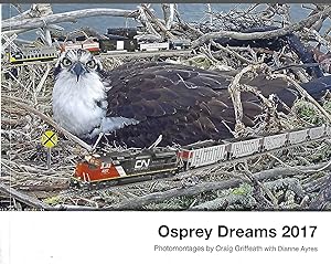 Osprey Dreams 2017