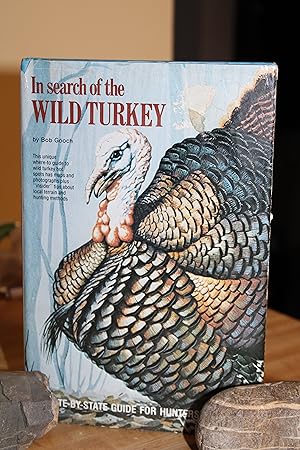 In Search of the Wild Turkey