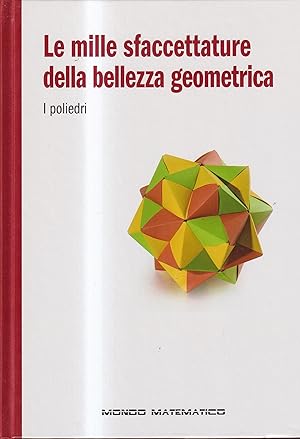 LE MILLE SFACCETTATURE DELLA BELLEZZA GEOMETRICA