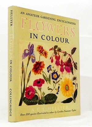 Flowers in Colour An Amateur Gardening Encyclopaedia