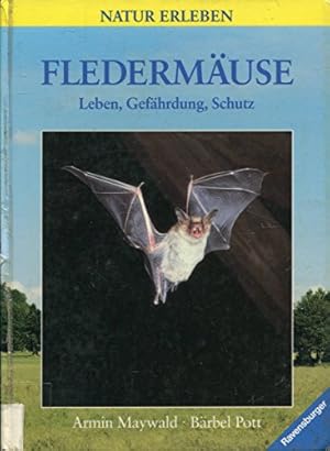 Seller image for Fledermuse: Leben, Gefhrdung, Schutz for sale by Allguer Online Antiquariat