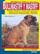 BULLMASTIFF Y MASTIFF