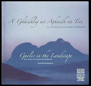 A' Ghaidhlig Air Aghaidh Na Tire: Ainmean-aite Ann an Lar-thuath Na Gaidhealtachd - Gaelic in the...