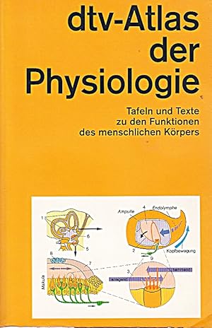 Bild des Verkufers fr dtv-AtlasderPhysiologie- Tafeln und Texte zu den Funktionen des menschlichen zum Verkauf von Die Buchgeister