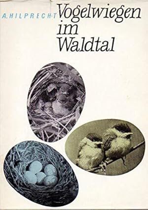 Seller image for Vogelwiegen im Waldtal for sale by Die Buchgeister