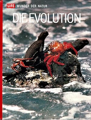 Bild des Verkufers fr Die Evolution,Von Ruth Moore u.d. Red. von Life. [Bildtexte von Harvey B. Loomis zum Verkauf von Die Buchgeister