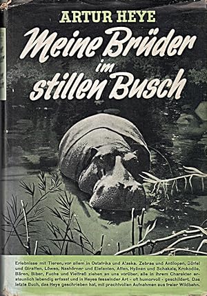 Imagen del vendedor de Meine Brder im stillen Busch a la venta por Die Buchgeister