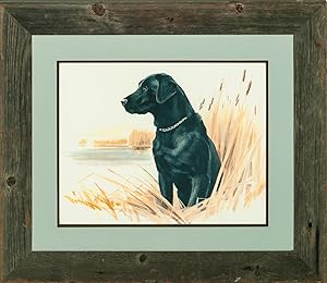 "Black Lab" by Elliott