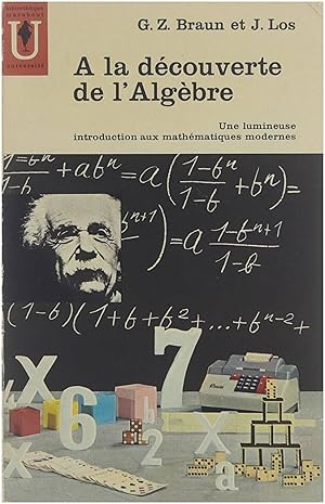 A la découverte de l'Algèbre: une lumineuse intro aux mathématiques modernes