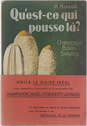 Image du vendeur pour Qu'est-ce qui pousse l. Champignons, Baies Simples mis en vente par Untje.com