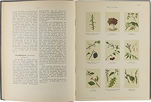 Bild des Verkufers fr Botanisches Bilderbuch fr Jung und Alt: Erster Teil: umfassend die Flora der ersten Jahreshlfte: 216 Pfanzenbilder in Aquarelldruck auf 24 Tafeln zum Verkauf von Untje.com