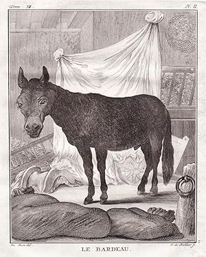 Bild des Verkufers fr Le Bardeau" - Esel donkey Ane Hausesel zum Verkauf von Antiquariat Steffen Vlkel GmbH