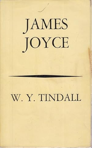 Seller image for James Joyce for sale by Librodifaccia