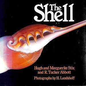Seller image for The Shell: Five Hundred Million Years of Inspired Design for sale by M Godding Books Ltd