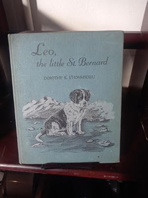 Leo, the Little St. Bernard